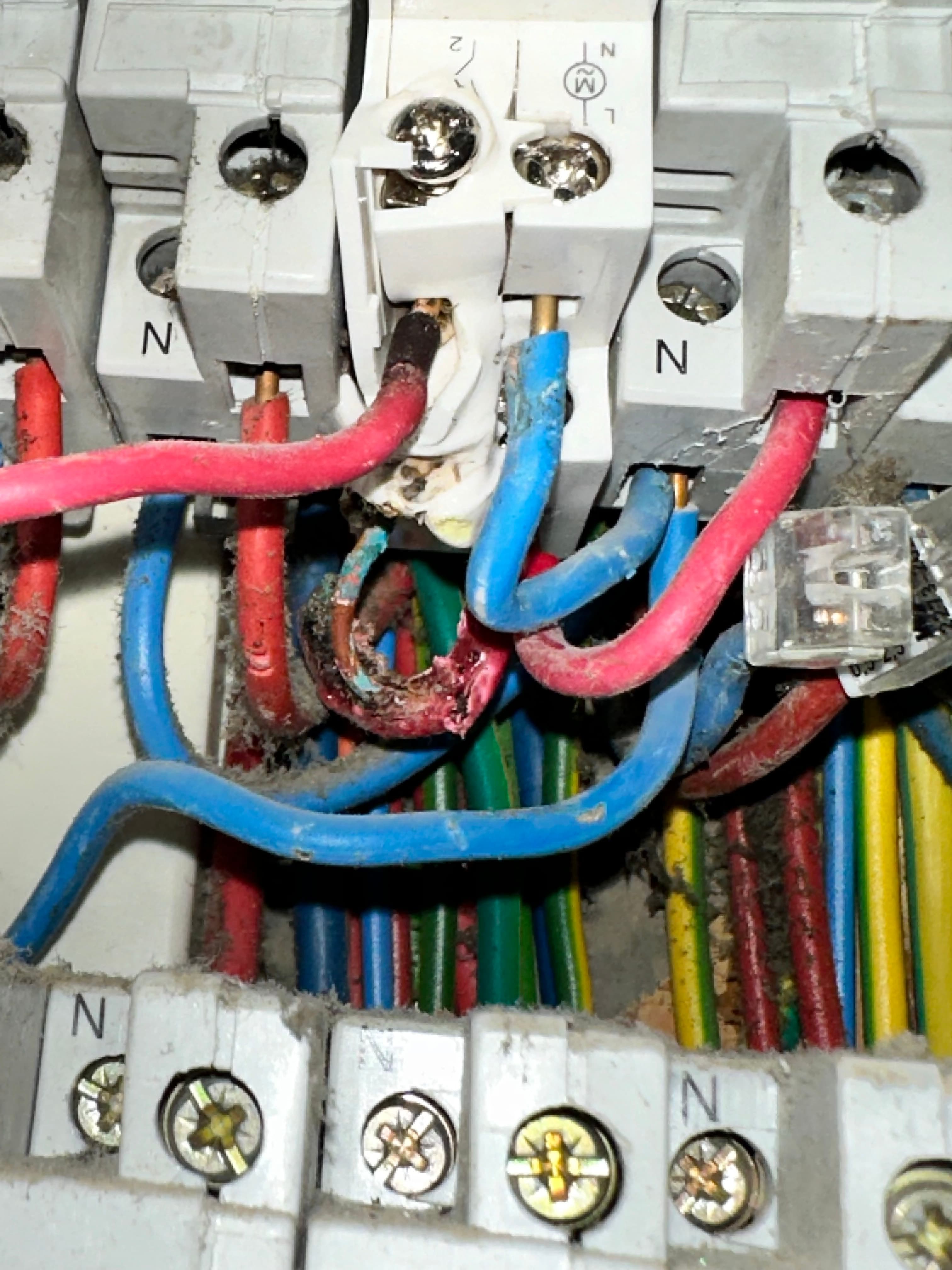Détail de câbles dans un tableau électrique
